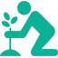 Tree plantation